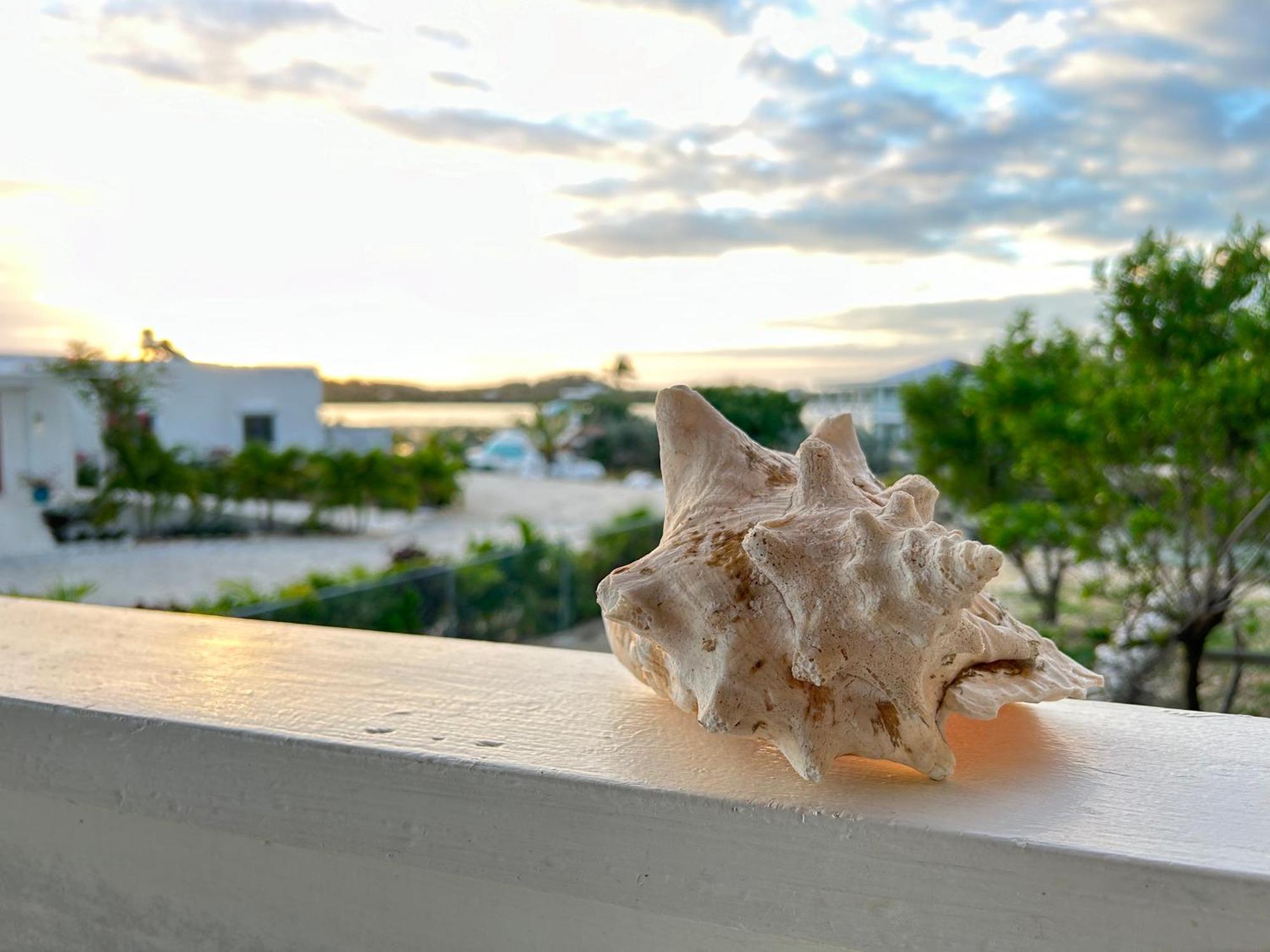 Flamingo House - Turks & Caicos Villa Turtle Cove Buitenkant foto